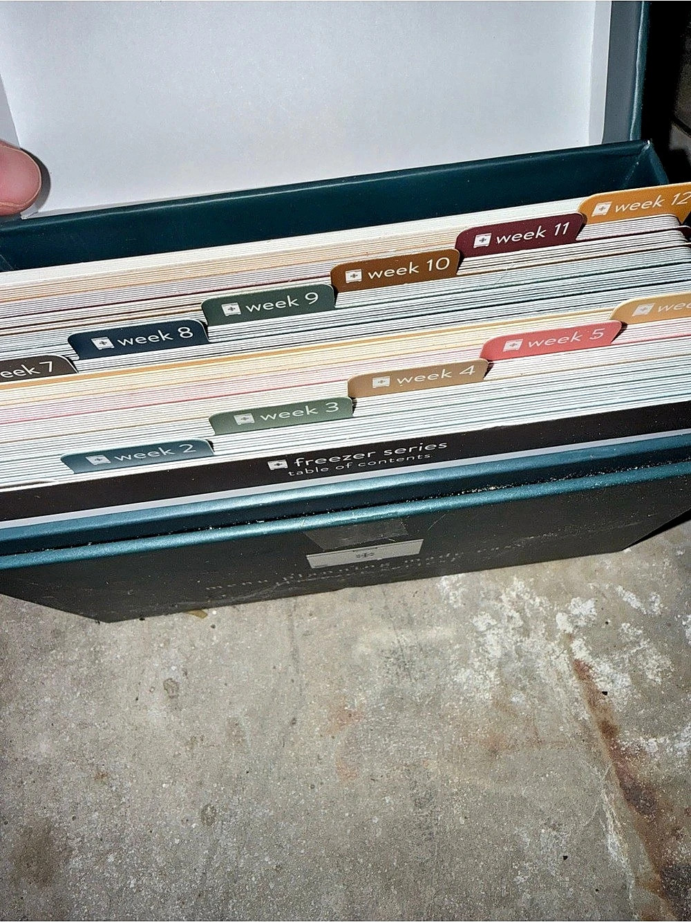 Passionate Penny Pincher Menu Planning Made Easy: Freezer Series Blue Planner